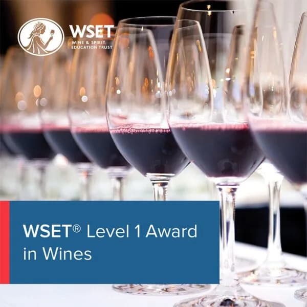 WSET Level 1 Wine January - 2027